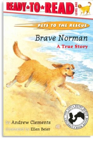 Brave Norman