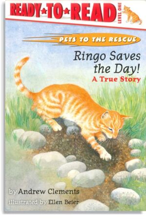 Ringo Saves The Day!