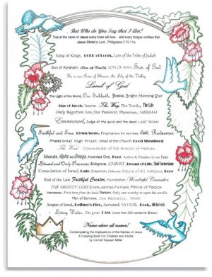 But Who do You Say that I Am?