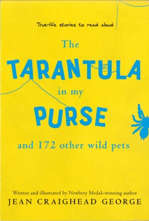 The Tarantula in my Purse