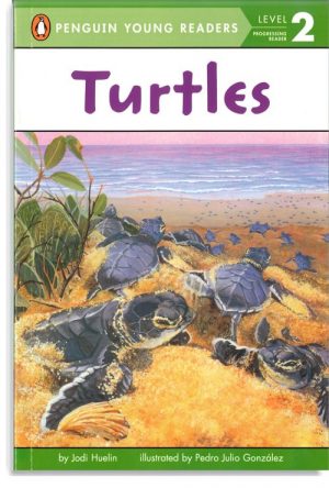 Turtles