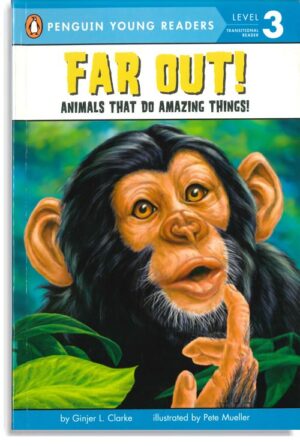 Far Out! – 3