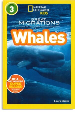Great Migrations Whales