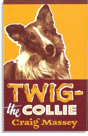 Twig The Collie