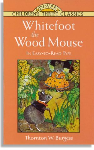 Whitefoot The Woodmouse