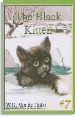 The Black Kitten