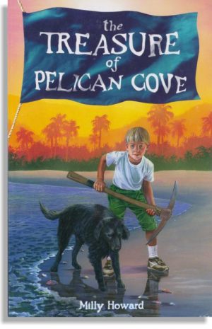 The Treasure Of Pelican Cove