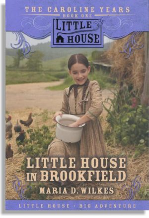 Little House In Brookfield