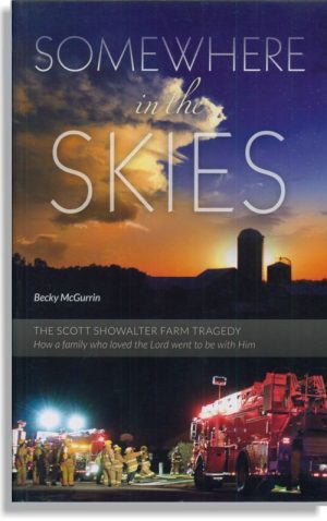 Somewhere In the Skies