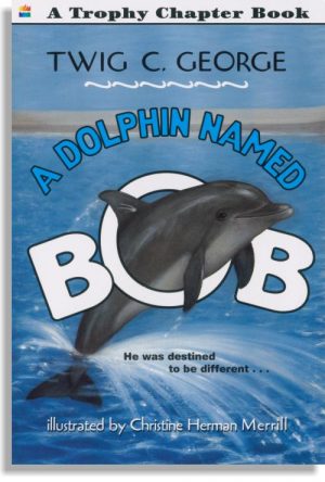 A Dolphin Named Bob