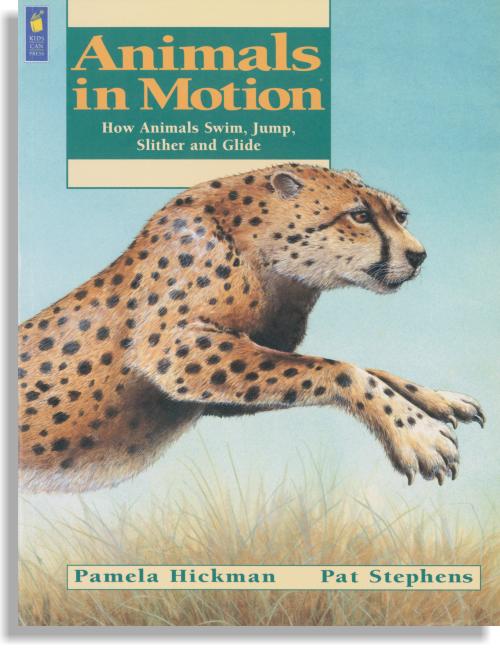 Animals In Motion