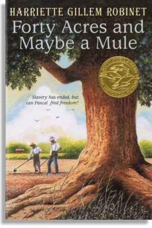 Forty Acres and Maybe A Mule