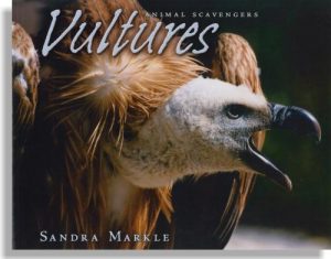 Animal Scavengers: Vultures
