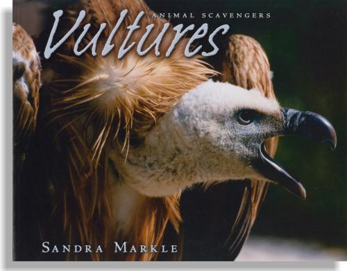 Animal Scavengers: Vultures