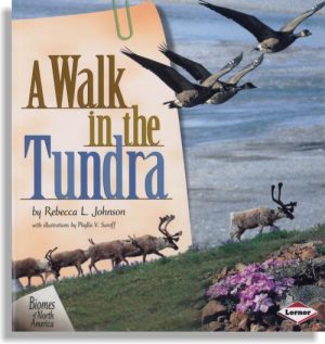 A Walk in the Tundra