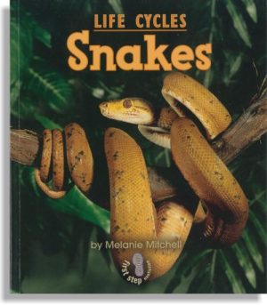Life Cycles – Snakes