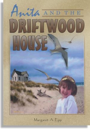Anita and the Driftwood House