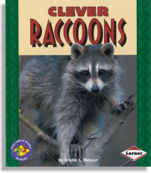 Clever Raccoons