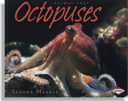 Animal Prey: Octopuses