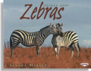 Animal Prey: Zebras