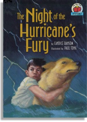 The Night of the Hurricane's Fury