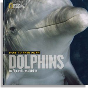Face to Face with Dolphins