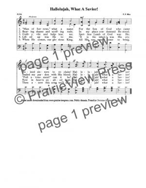 Song: Hallelujah What A Savior