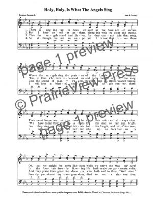 Song: Holy Holy Is What The Angels Sing