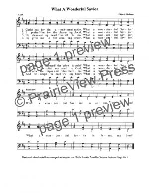 Song: What A Wonderful Savior