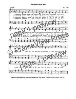 Song: Somebody Cares