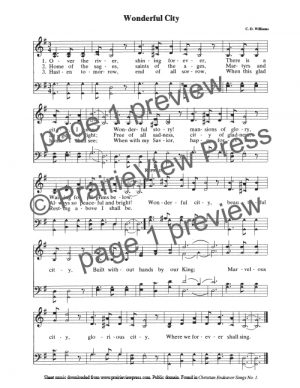 Song: Wonderful City