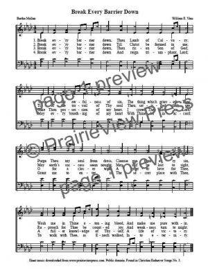 Song: Break Every Barrier Down