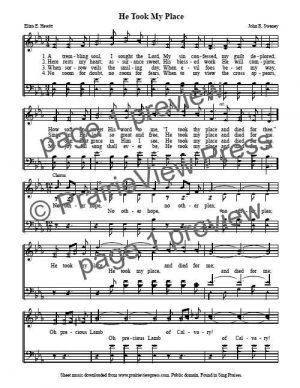 Song: He Took My Place