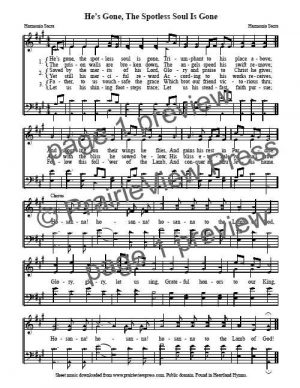 Song: He's Gone The Spotless Soul Is Gone