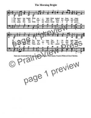 Song: The Morning Bright