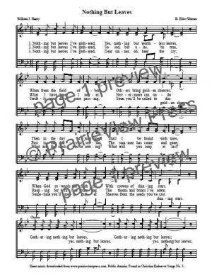 Song: Nothing But Leaves