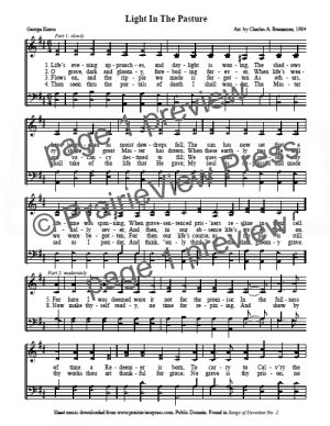 Song: Light In The Pasture