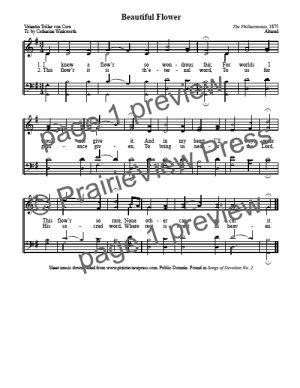 Song: Beautiful Flower