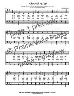 Song: Why Will Ye Die?