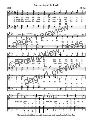 Song: Merry Sings The Lark