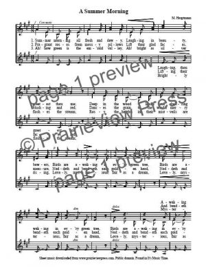 Song: A Summer Morning