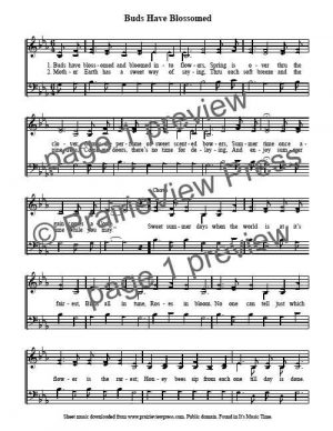 Song: Buds Have Blossomed