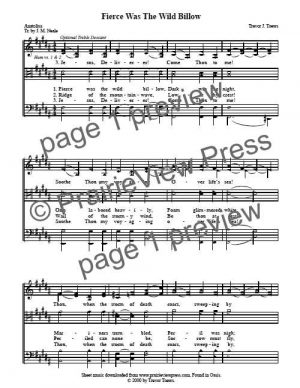 Song: Fierce Was The Wild Billow