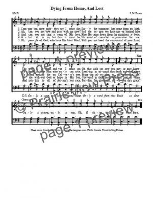 Song: Dying From Home and Lost