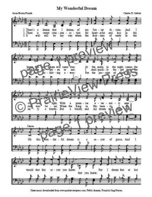 Song: My Wonderful Dream