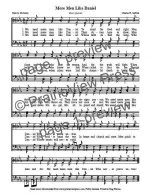 Song: More Men Like Daniel