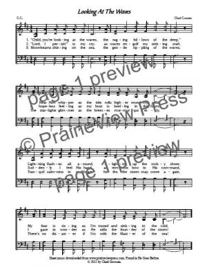 Song: Looking At The Waves