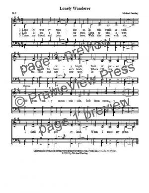 Song: Lonely Wanderer