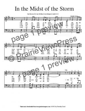 Song: In The Midst Of The Storm