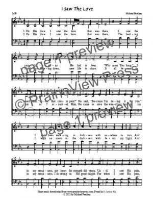 Song: I Saw The Love